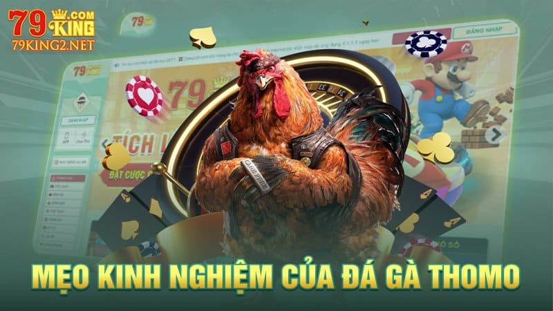 Kinh nghiệm khi tham gia đá gà 79king2